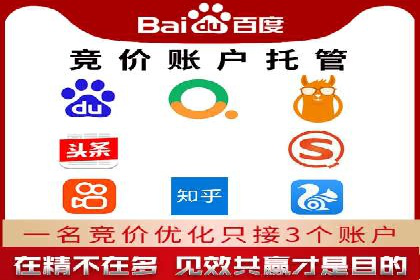 百度竞价SEM案例：揭秘高效广告投放技巧