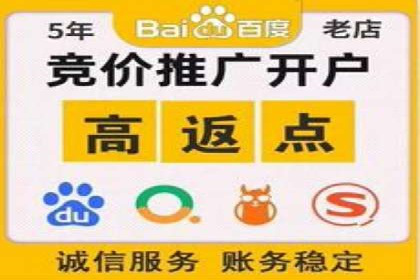 某知名品牌SEM优化托管的策略与成果